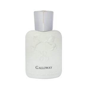 ادوپرفیوم برندینی مدل GALLOWAY حجم 33میلی لیتر